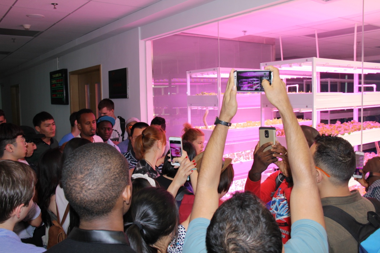 参观LED植物工厂