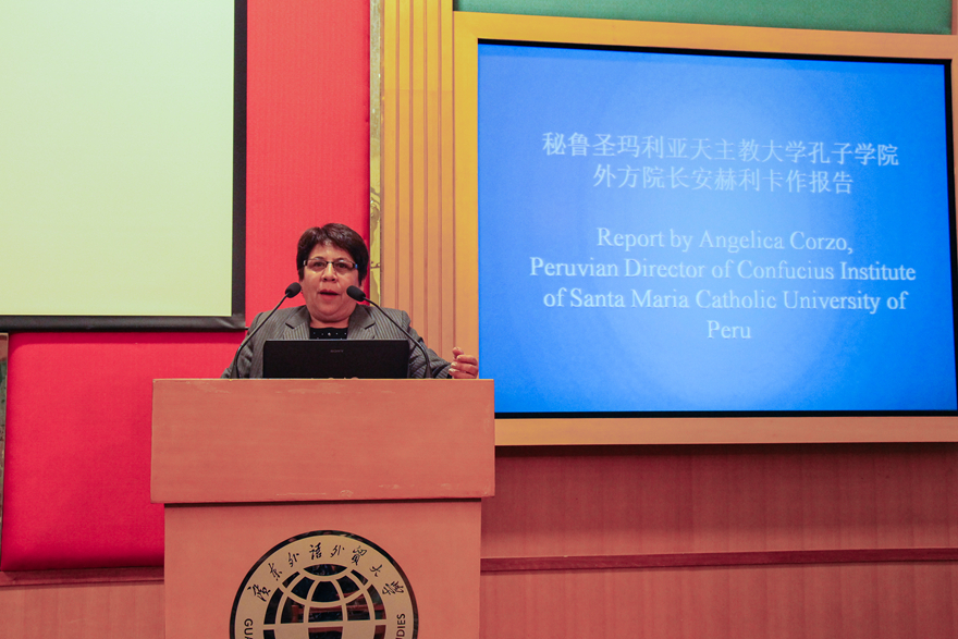 安赫丽卡做报告