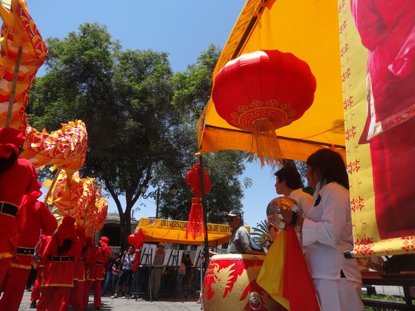 舞龙表演 舞龙表演